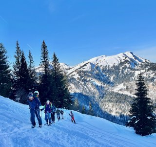 gruppe skitourengeher im aufstieg, berge, schnee, blauer himmel, baeume
