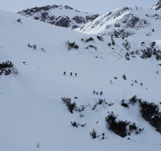 3 skitourengeher im aufstieg, steiler hangm schnee, buesche