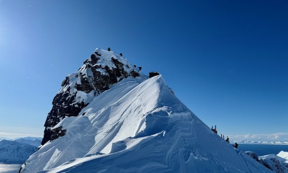 Skitouren auf Senja in Norwegen - Gipfel des Kvænan