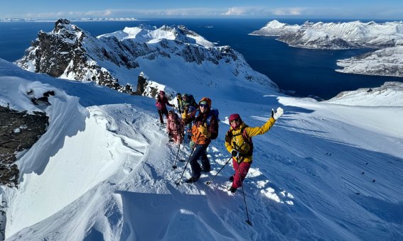 skitourengruppe, gipfel, meer, berge, schnee, blauer himmel