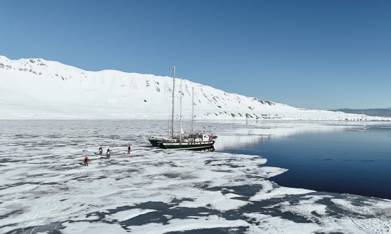 segler vor eisfläche und treibeis, personen auf dem eis