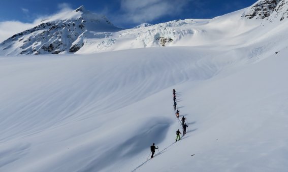 skitourengruppe im aufstieg, schneefläche