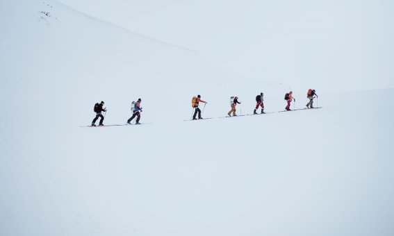 skitourengruppe, schneefläche