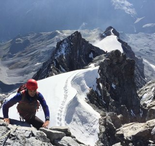 ortler, hintergrat, firnfeld