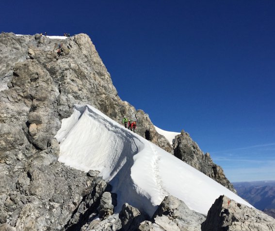 hintergrat, ortler, blauer himmel, felsen und firn