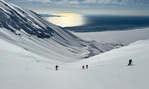 skitouren spitzbergen, gegenlicht aufs meer, 4 personen im aufstieg
