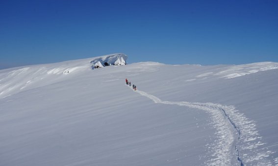 austiegsspur, skitourengruppe, skitourenreise tromsø