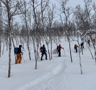 skitourengruppe im wald, tromsø