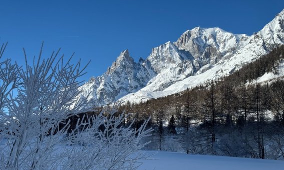 mt-blanc, val-ferret, aig-noir, strauch-raureif