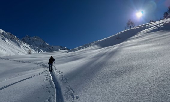 Skitouren Aostatal, aufstiegsspur der sonne entgegen, neuschnee