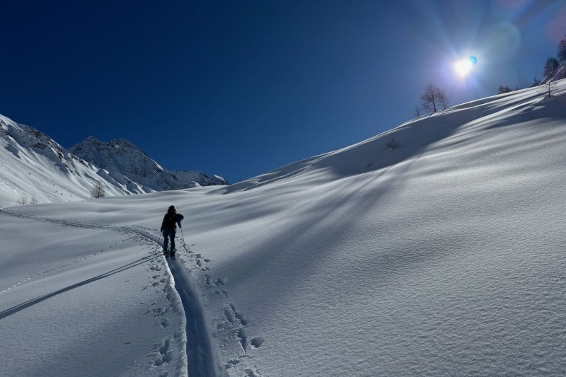 Skitouren Aostatal, aufstiegsspur der sonne entgegen, neuschnee