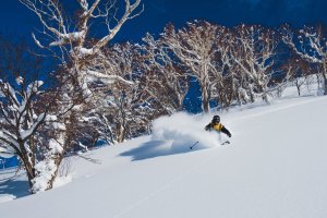 Freeride Japan Honshu Powder