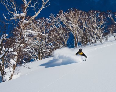 Freeride Japan Honshu Powder