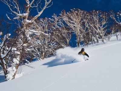 Freeride Japan Honshu Powder