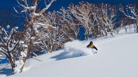 Freeride Japan Honshu Powder
