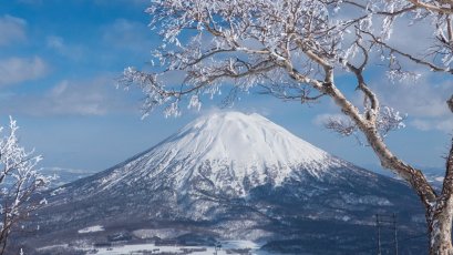Gefrorene Bäume mit Berg Yotei im Hintergrund, Japan