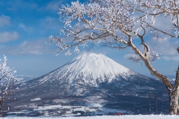 Gefrorene Bäume mit Berg Yotei im Hintergrund, Japan