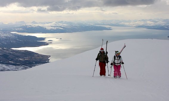 Skitouren Lofoten Freerideday Narvik