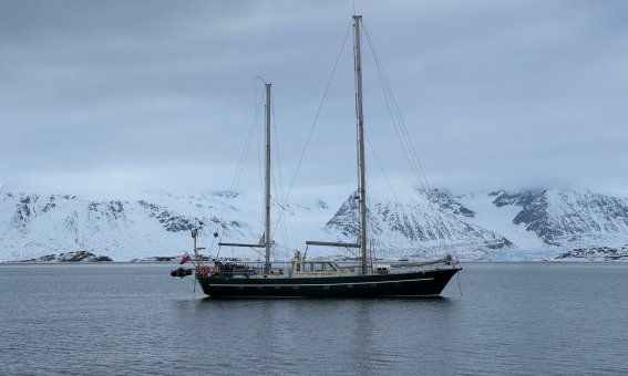 Zweimaster, Ocean A, Skitouren Grönland