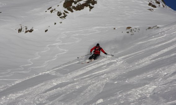 Gressoney / Alagna Freeride, skifahrer im tiefschnee, skispuren