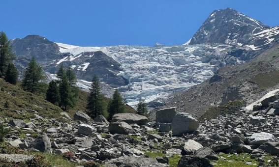 Riedgletscher, Aufstieg zur Bordier Hütte, Walliser Alpen