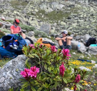 Zwei Wanderer machen eine Pause in der Berglandschaft. Bunte Blumen blühen um sie herum und die Ruhe ist spürbar.