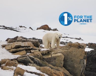 Eisbär auf felsiger Küste Spitzbergens im arktischen Schnee – Symbol für bedrohte Ökosysteme und Engagement für Klimaschutz mit 1% for the Planet.