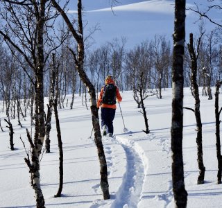 Lyngen 2020 Kåfjord Alps