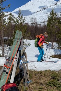Lyngen 2020 am Kjosfjord im Mai