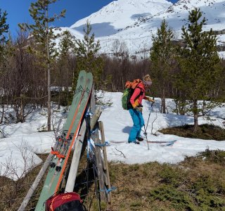 Lyngen 2020 am Kjosfjord im Mai