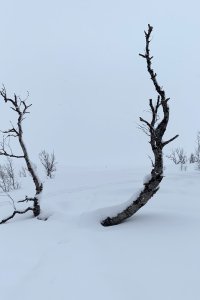 Lyngen 2020 Schneehöhenmessung am Hausberg