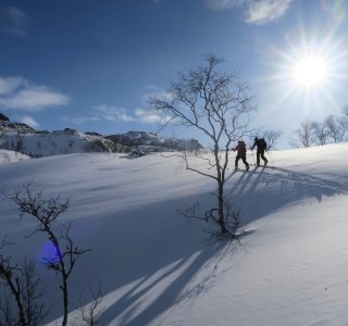 Lyngen 2020 Skitour in Nordreisa