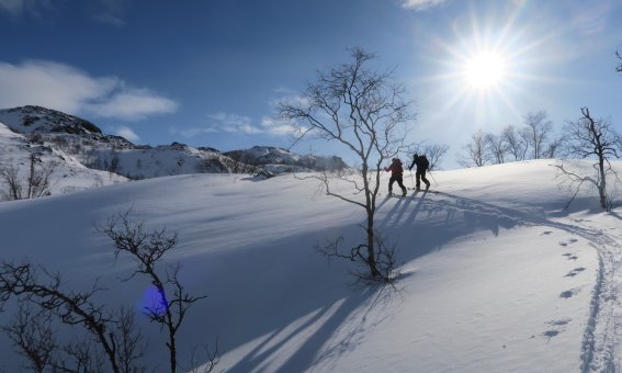 Lyngen 2020 Skitour in Nordreisa
