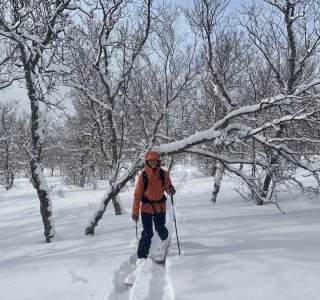Lyngen 2020 -Skitouren Start in Djupvik