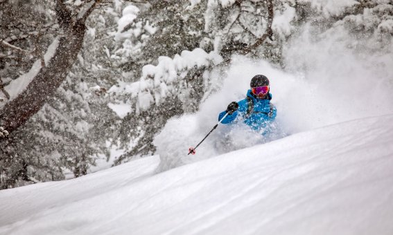 kasachstan, treeskiing altai mountains
