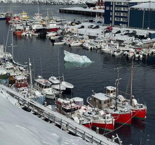 Grönland, Skitour Maniitsoq 8059