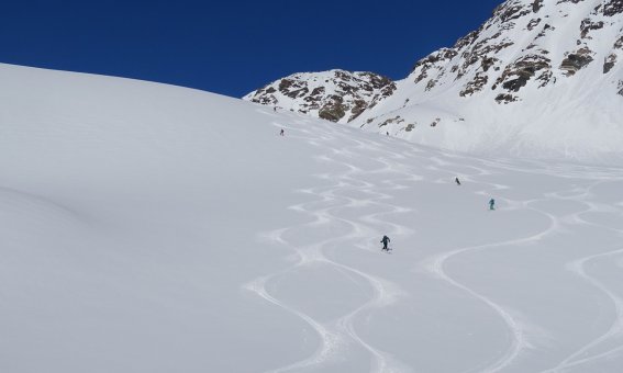 skifahrer in der abfahrt, schneefläche, skispuren, blauer Himmel
