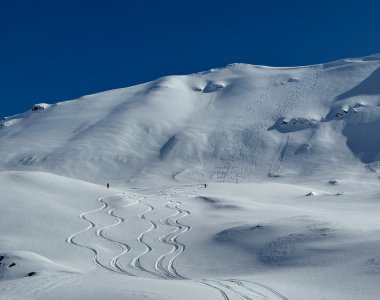 Svalbard 26 pulvertraum
