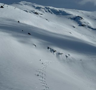 IMG 7679