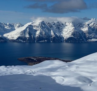 IMG 7674