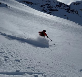 IMG 7655