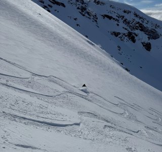 IMG 7628