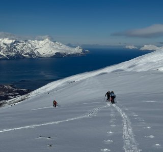 lyngenpanorama, skitourenwoche mit mountain spirit bergschule