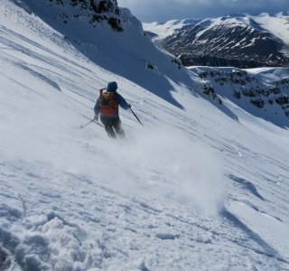 05 Actionbild mit Pulverschnee-Fahne 