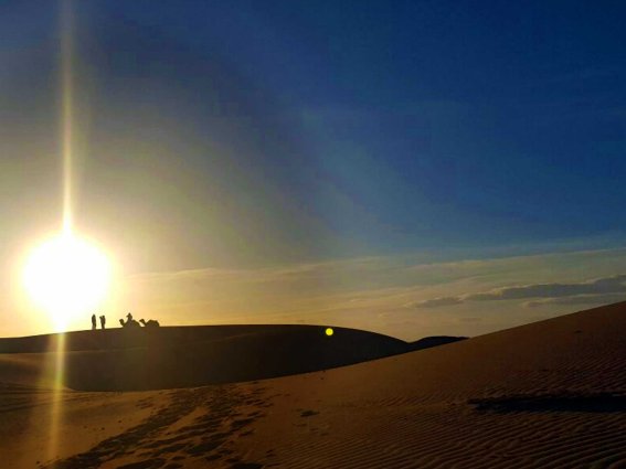 Wueste Psychotherapie