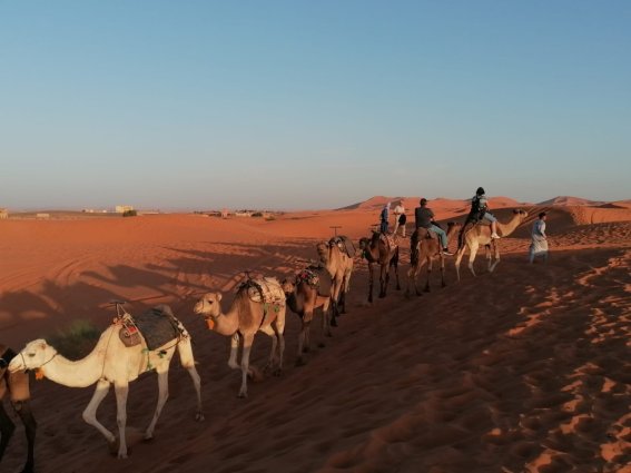 Unterstützung_Psychotherapie