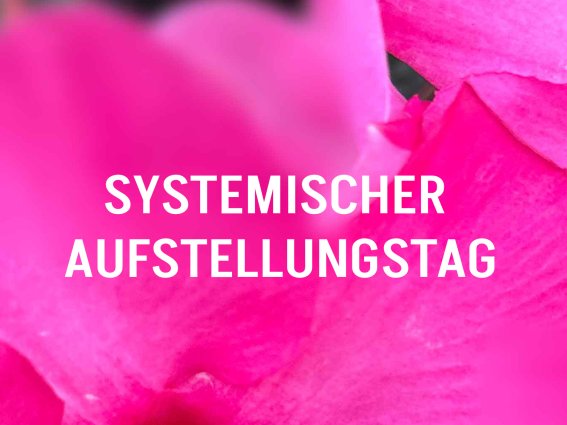 Systemischer Aufstellungstag im blühenden Garten In einem bunten Garten findet der systemische Aufstellungstag statt, wo Menschen zusammenkommen, um an persönlichen Themen zu arbeiten.