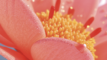 Eine Blüte zeigt ihre Farben und Wassertropfen auf den Blütenblättern. Die Szene ist hell und sonnig.