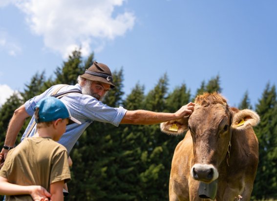 Der Hirte erklärt den Umgang mit Kühen