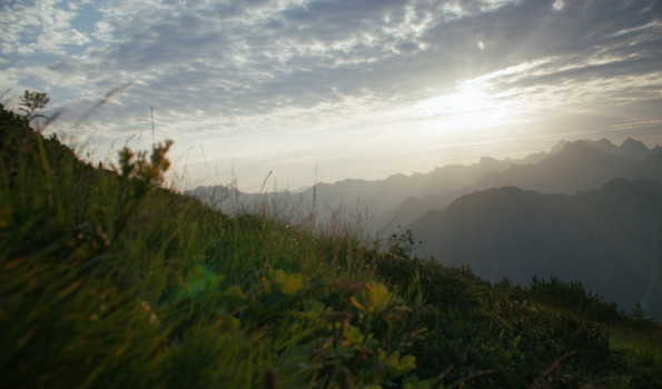 Sonnenaufgang hinter Bergblumen Im Vordergrund sind Blumen und Gräser einer Bergwiese zu sehen. Im Hintergrund geht die Sonne über dem Bergpanorama auf.